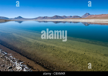 Il Cile. Deserto di Atacama. Quepiaco lago. Foto Stock