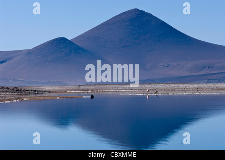 Il Cile. Deserto di Atacama. Quepiaco lago. Foto Stock