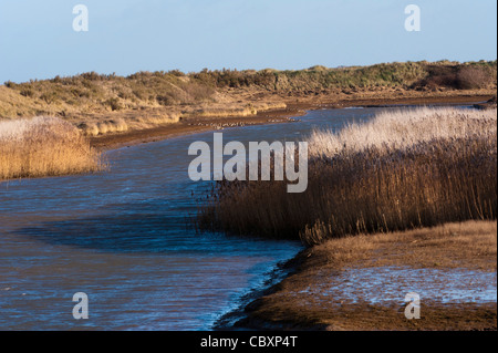 Piscina salmastra a Titchwell Foto Stock