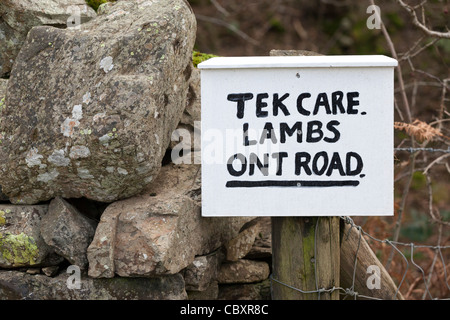 Cura di Tek Agnelli Ont Road - segnale di avvertimento in corrispondenza Crummock acqua, Cumbria nel Lake District inglese Foto Stock