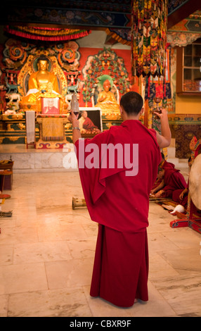 India, Bihar, Bodhgaya,, Buddismo, centrale tempio tibetano, monaco in preghiera nella preghiera della sera rituale Foto Stock