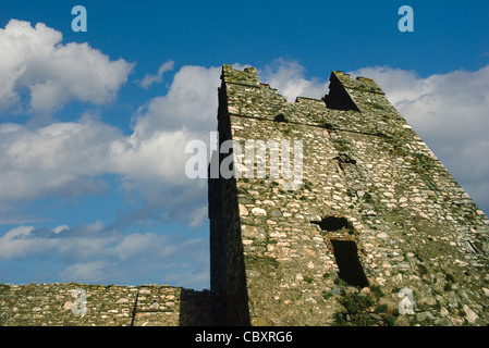 Castello Normanno ruderi, 1° secolo, nella contea di Wexford, Irlanda Foto Stock