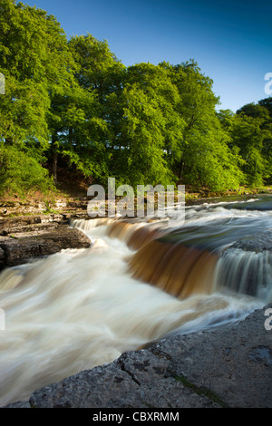 Regno Unito, Inghilterra, Yorkshire, Wensleydale, Aysgarth Cascate Inferiori sul Fiume Ure Foto Stock