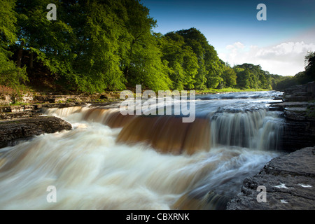 Regno Unito, Inghilterra, Yorkshire, Wensleydale, Aysgarth Cascate Inferiori sul Fiume Ure Foto Stock