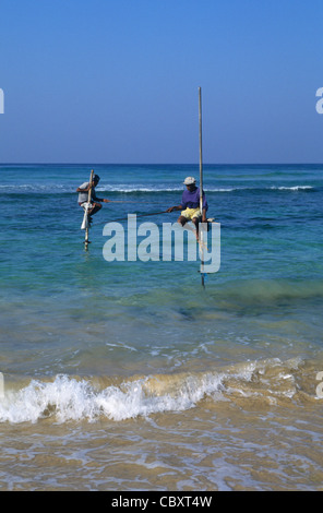 Stilt pescatori, Weligama, Sri Lanka Foto Stock