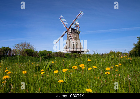 Mulino a vento in Oldsum sull isola di Föhr, Frisia settentrionale, Germania Foto Stock