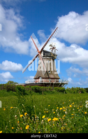 Mulino a vento in Oldsum sull isola di Föhr, Frisia settentrionale, Germania Foto Stock