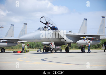 Gli aeristi effettuano un'ispezione prima di sgombrare l'Aquila F-15 per la prossima fase dei controlli il 23 marzo 2010 mentre sono schierati alla base congiunta Pearl Harbor-Hickam, Hawaii. Gli Airmen sono assegnati alla 19a unità di manutenzione dell'aeromobile, 3rd Squadron di manutenzione alla base dell'aeronautica di Elmendorf, Alaska. Foto Stock