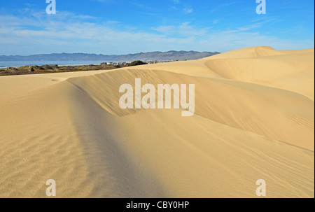 Oceano dune di sabbia Pismo dune con Pismo Beach in background Foto Stock