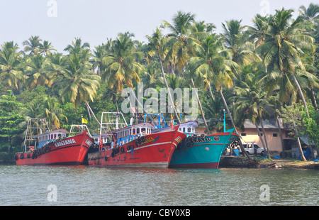 Scena backwaters di Quilon in Kerala, India. Foto Stock