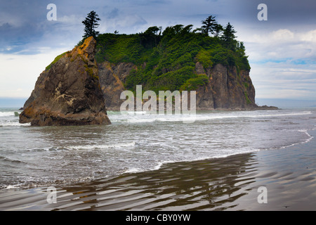 Seastack al Ruby Beach, appena al di fuori del confine del Parco Nazionale di Olympic nello stato di Washington Foto Stock