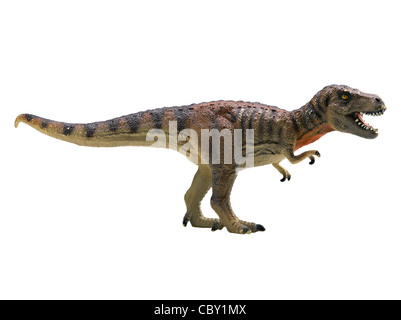 Tyrannosaurus rex-isolati su sfondo bianco Foto Stock