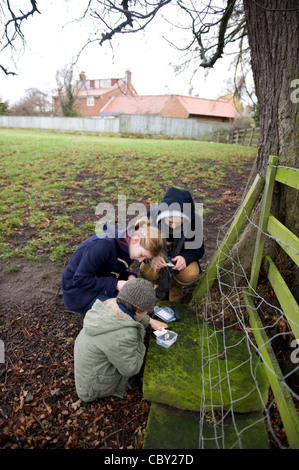 I bambini in gran ayton North Yorkshire cercando una geo-cache. Foto Stock