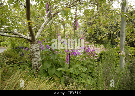 Glenfalloch Woodland Garden, Penisola di Otago, Nuova Zelanda Foto Stock