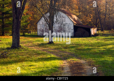 Colore di autunno e nel tardo pomeriggio la luce a Midwestern Fienile nella contea di Harrison, Indiana Foto Stock