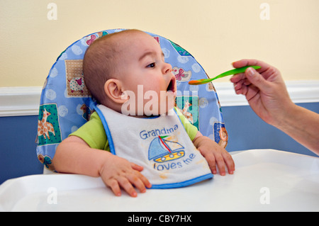 Otto mesi di età bambino essendo alimentato carote organico dalla nonna Foto Stock