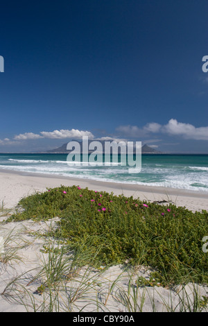 Cape Town: Bloubergstrand - vista della Table Mountain Foto Stock