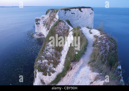 Verso un ampio orizzonte blu. Su un percorso per nulla su vertiginose chalk cliffs. Old Harry Rocks, l'isola di Purbeck, Dorset, England, Regno Unito Foto Stock
