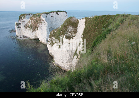 Old Harry Rocks. Massive chalk pile in piedi appena fuori le vertiginose scogliere calcaree della costa Purbeck. Il Dorset, Inghilterra, Regno Unito. Foto Stock