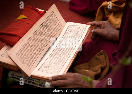 India, Bihar, Bodhgaya,, tempio di Mahabodhi, mani di monaco tibetano la lettura del testo sacro Foto Stock