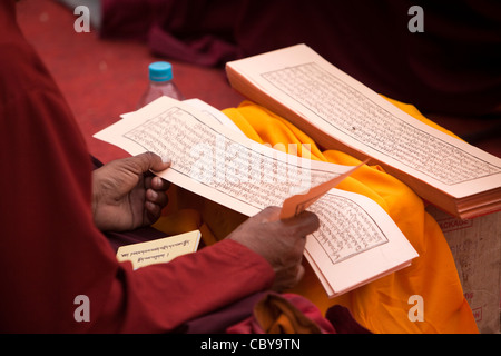 India, Bihar, Bodhgaya,, tempio di Mahabodhi, mani di monaco tibetano la lettura del testo sacro Foto Stock