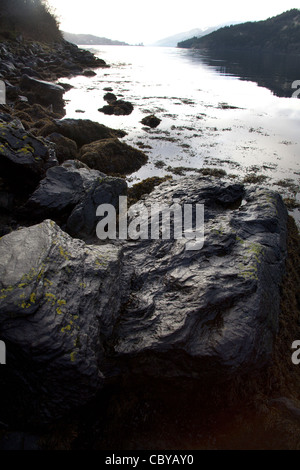 Area di Loch Long, Scozia. Rocce sulla riva orientale del Loch Long con il Finnart terminale petrolifero nel lontano sullo sfondo. Foto Stock