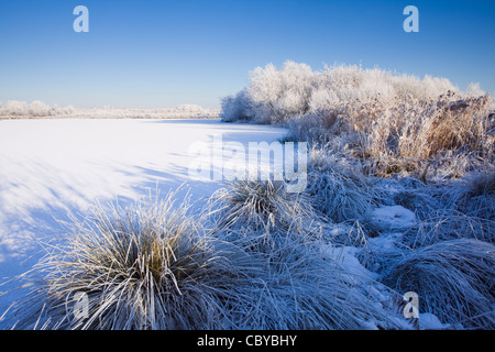 Le ombre proiettate su un congelato coperto di neve stagno in un assolato pomeriggio invernale al bordo delle acque Country Park in North Lincolnshire Foto Stock