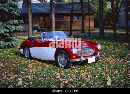 1963 Austin Healey 3000-MKII-13J7 Foto Stock