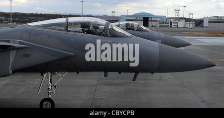 Tim Wegner e il 1° Lt. Aaron Stevens aspettano alla fine della pista gli equipaggi di armi per completare i loro controlli finali su un F-15 Eagle 17 novembre 2001, alla base aerea di Chitose, Giappone. I jet 'addestrati contro' Giappone Air Self Defense Force piloti fuori da Misawa AB, Giappone. Il capitano Wegner e il tenente Stevens sono di origine con il 44° Squadrone dei combattenti. Foto Stock