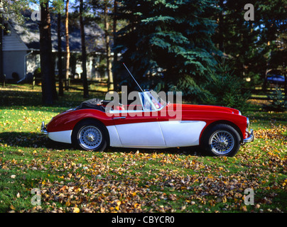 1963 Austin Healey 3000-MKII-13J7 Foto Stock