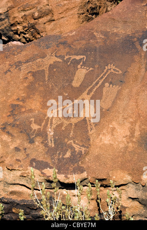 Twyfelfontein antiche incisioni rupestri del sito - Damaraland - Regione di Kunene, Namibia, Africa Foto Stock