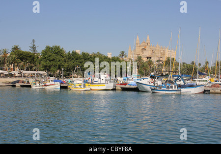 In scena a Palma il Vecchio Porto ( Moll Vell / Muelle Viejo ) Area - con piccole barche da pesca - entro il porto di Palma de Mallorca Foto Stock