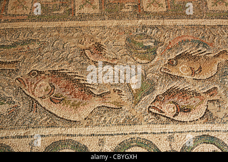 Mosaici pavimentali dal Sud Pastophorion pastophoria nella Basilica di Doumetios nell Antica Nicopoli Nikopoli Grecia Foto Stock