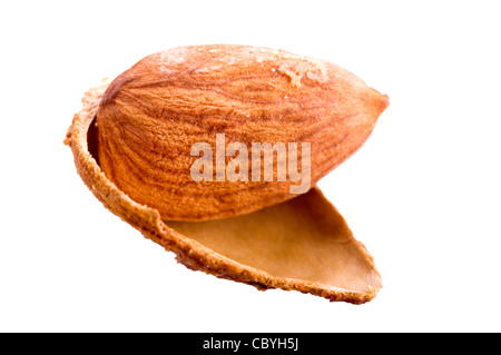 Mandorla in guscio isolato su bianco Foto Stock