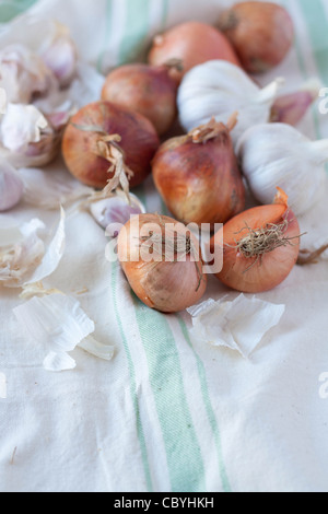 Aglio e cipolla scalogno sul tappeto di lino Foto Stock