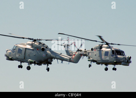 I due Westland Lynx HMA8 WG-13 elicotteri della Royal Navy i gatti neri durante la loro visualizzazione in Cotswold Air Show Foto Stock