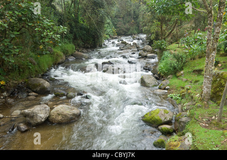 Il fiume Savegre San Gerardo de Dota Costa Rica Foto Stock