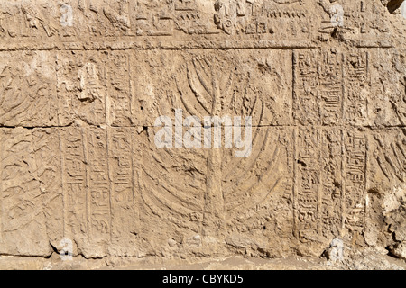 Albero scolpito dal Punt nei templi tolemaico in Wanina, a sud-ovest di Akhmim nel governatorato di Sohag, Medio Egitto Foto Stock