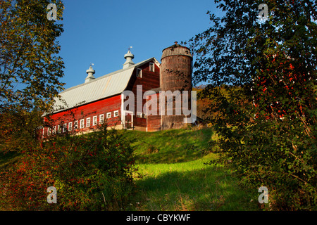 Pomfret Highland Farm su Ridge Road vicino a Woodstock, Vermont. Foto Stock