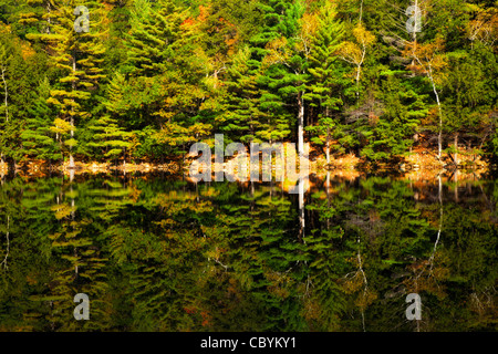 La riflessione sul Lago Smeraldo, Vermont. Foto Stock