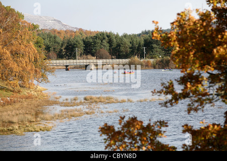 Loch Insh in Kincraig vicino a Aviemore dove il fiume Spey fluisce attraverso il loch Foto Stock