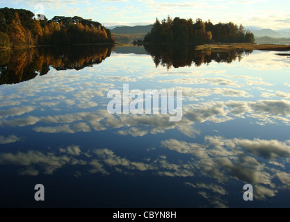 Loch Insh in Kincraig vicino a Aviemore dove il fiume Spey fluisce attraverso il loch Foto Stock