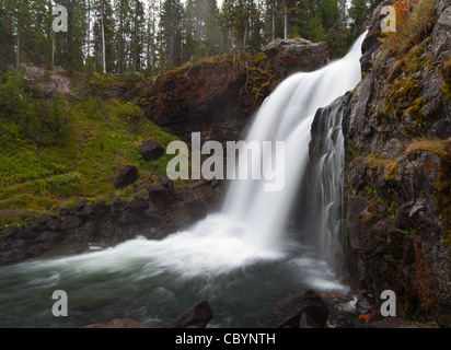 Moose falls sono 30 piedi di immergersi su aragosta creek nel parco nazionale di Yellowstone. Le cascate sono stati nominati nel 1885 per il numero di alci che popolarono la parte meridionale del parco sono situati molto vicino all'entrata sud del parco nazionale di Yellowstone. Foto Stock