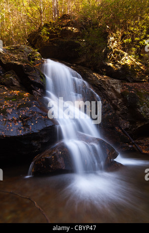 Maidenhair cade nel Ravel Cliff Falls area ricreativa. Foto Stock