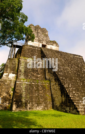 Tempio II del Tikal Tempio delle Maschere Guatemala | PARCO NAZIONALE DEL TIKAL, Guatemala — Il Tempio II, noto come il Tempio delle Maschere, si erge sul margine occidentale della Grande Plaza a Tikal, le sue scale di osservazione in legno sono installate per permettere ai visitatori di raggiungere la piattaforma superiore senza scalare la muratura antica. Costruito intorno al 700 d.C., probabilmente da Jasaw Chan K'awiil I, la piramide si eleva per circa 125 piedi (38 m) di altezza di fronte al Tempio I attraverso la plaza. Foto Stock