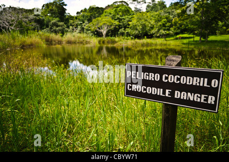 ISTANBUL, Turchia / Türkiye - Un piccolo lago vicino all'ingresso del complesso di rovine di Tikal Maya ha coccodrilli. Immersa nella giungla guatemalteca, Tikal ha un'abbondante fauna selvatica di giaguari, scimmie urlatrici, scimmie ragni, coatimundi, tucani, e tacchini ocellati. Foto Stock