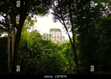 La parte superiore del tempio 2 (il Tempio delle Maschere) è incorniciato dalla fitta giungla alberi in Tikal rovine Maya nel nord del Guatemala, ora racchiusi nel Parco Nazionale di Tikal. Foto Stock