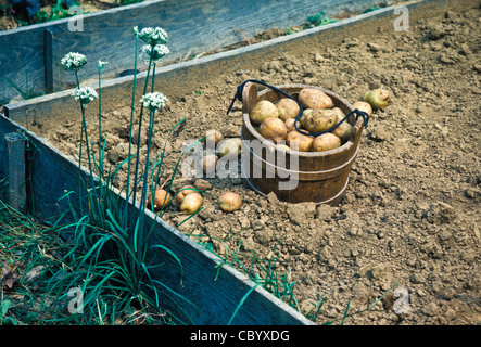 Landis Valley farm museum grande collezione storica fine Ottocento inizio Novecento americano antiquariato attrezzatura piccola cittadina stile di vita Foto Stock