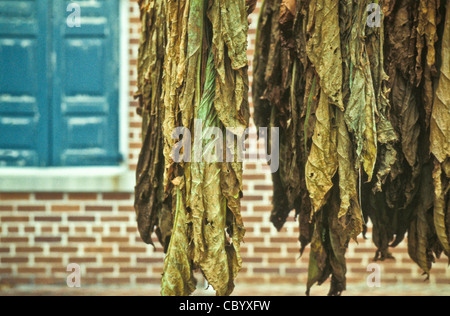 Landis Valley farm museum grande collezione storica fine Ottocento inizio Novecento americano antiquariato attrezzatura piccola cittadina stile di vita Foto Stock