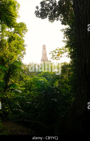 La parte superiore del tempio V è incorniciato dalla fitta giungla in Tikal rovine Maya nel nord del Guatemala, ora racchiusi nel Parco Nazionale di Tikal. Foto Stock